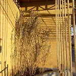 Cantine Ascheri