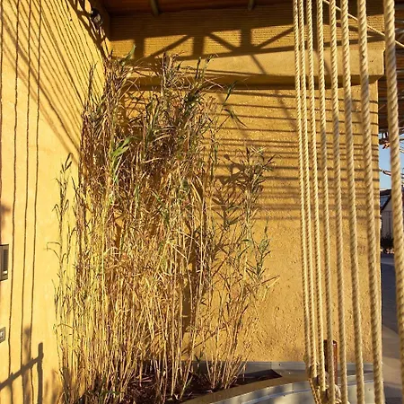 Cantine Ascheri