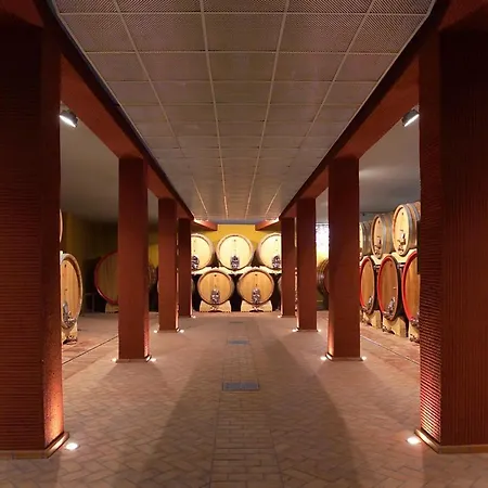Hotel Cantine Ascheri