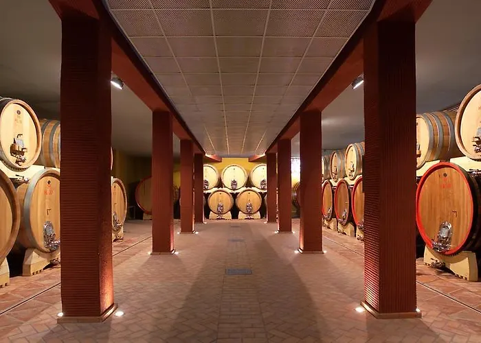 Hotel Cantine Ascheri